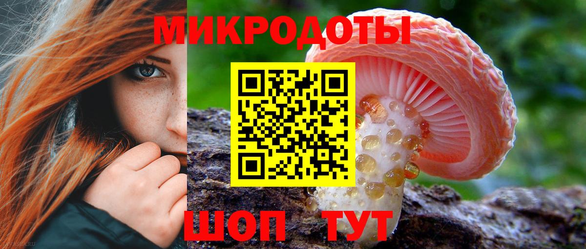 Галлюциногенные грибы ЛСД Майкоп