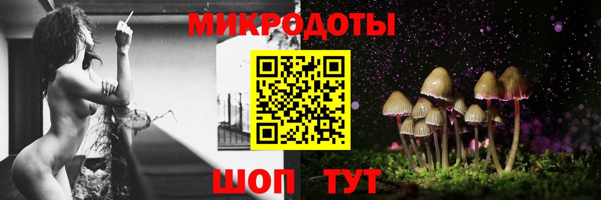 Майкоп  Галлюциногенные грибы Psilocybe  Псилоцибиновые грибы Cubensis  Вход с VPN 